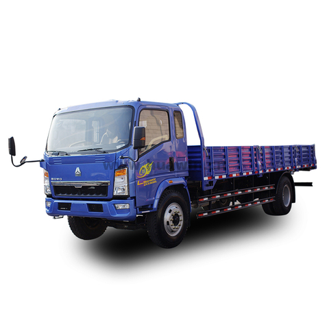 HOWO 4X2 Light Duty Cargo Truck Lorry Truck 