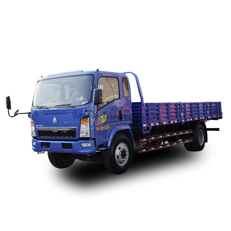 HOWO 4X2 Cargo Truck 