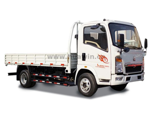 HOWO 4X2 Cargo Truck
