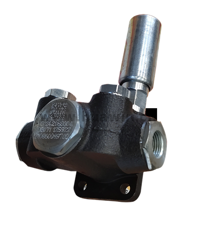 Fuel Delivery Pump