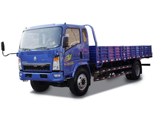 HOWO 4X2 Light Duty Cargo Truck Lorry Truck 