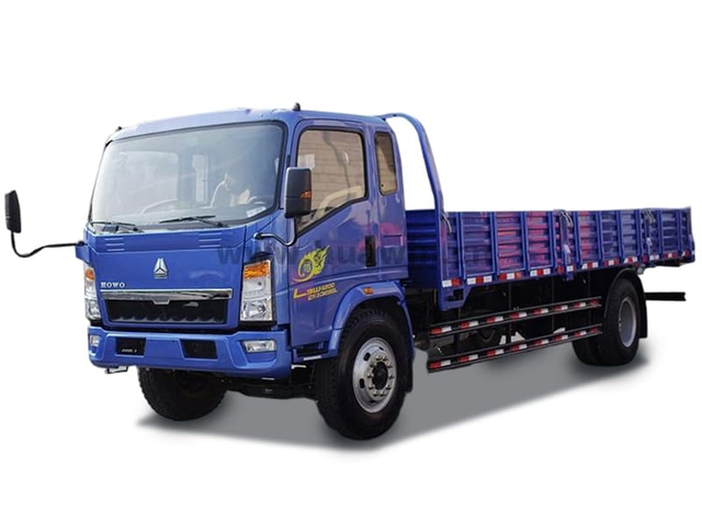 HOWO 4X2 Light Duty Cargo Truck Lorry Truck 